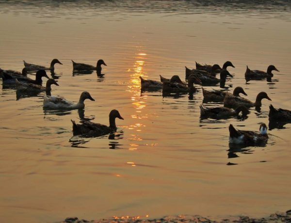 Beauty of nature