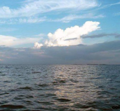 Beauty of water