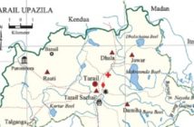 Tarail Upazila