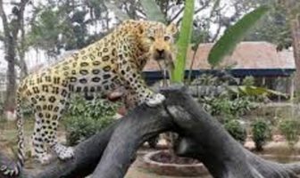 Park, Kishoreganj